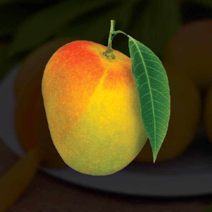 hafus mango image